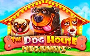 Vswaysdogs